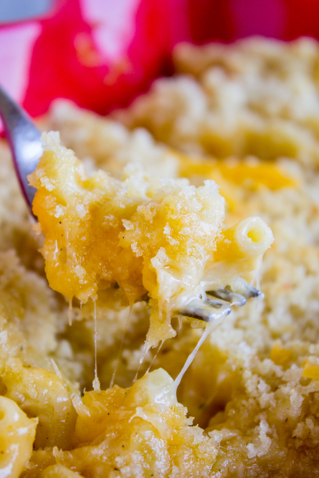 World's Best Macaroni And Cheese Recipe